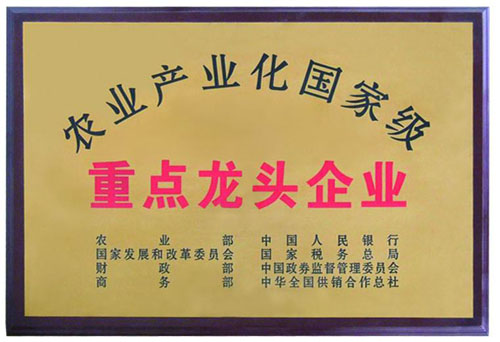 國家級農(nóng)業(yè)產(chǎn)業(yè)化重點(diǎn)龍頭企業(yè)