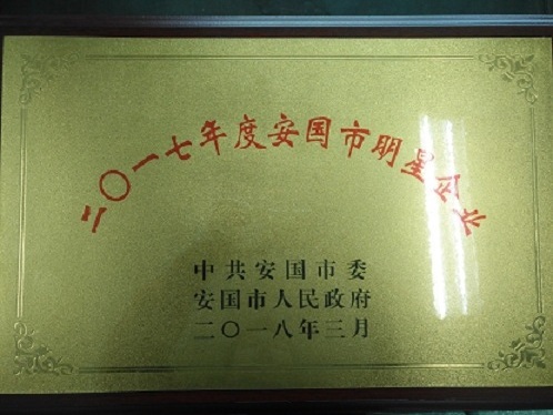 我公司被安國市委、市政府評為二〇一七年度明星企業(yè)